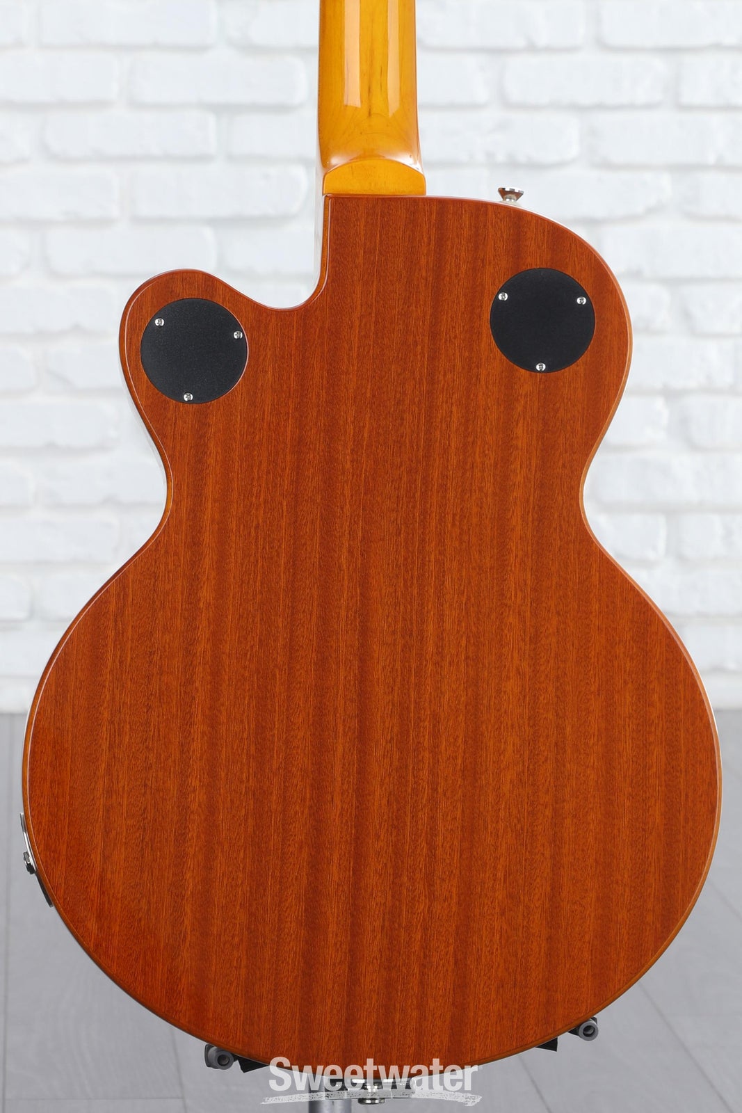 WildKat Limited Edition Hollow Body