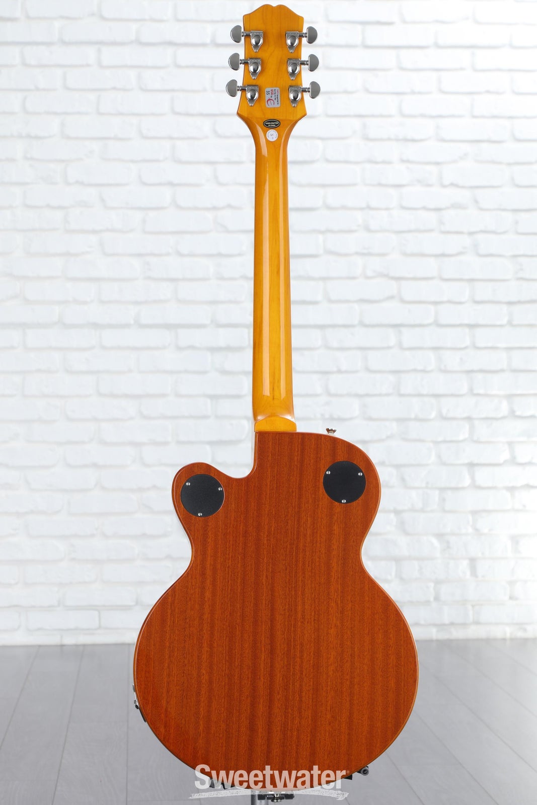 WildKat Limited Edition Hollow Body
