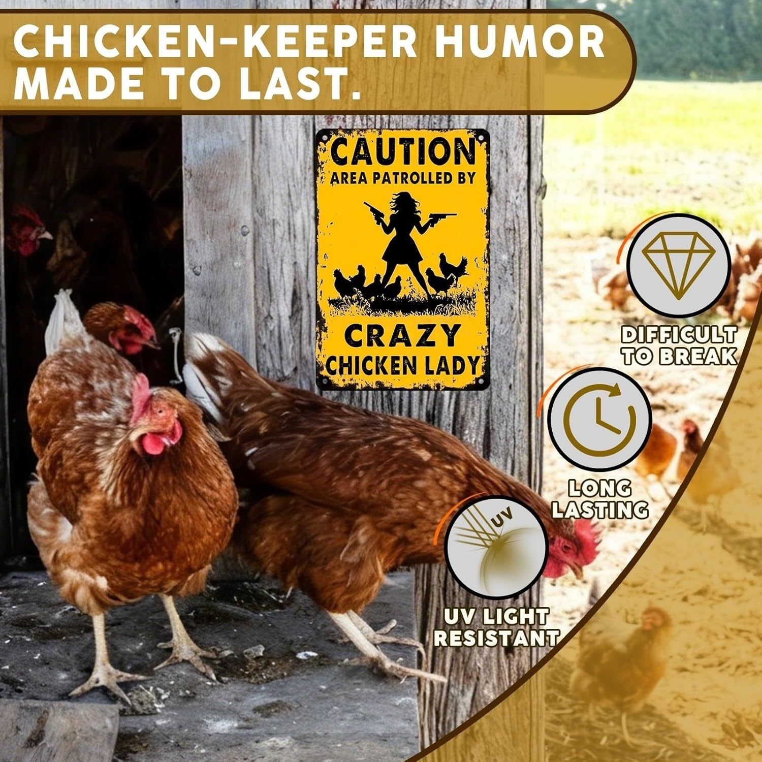 Crazy Chicken Lady Tin Sign