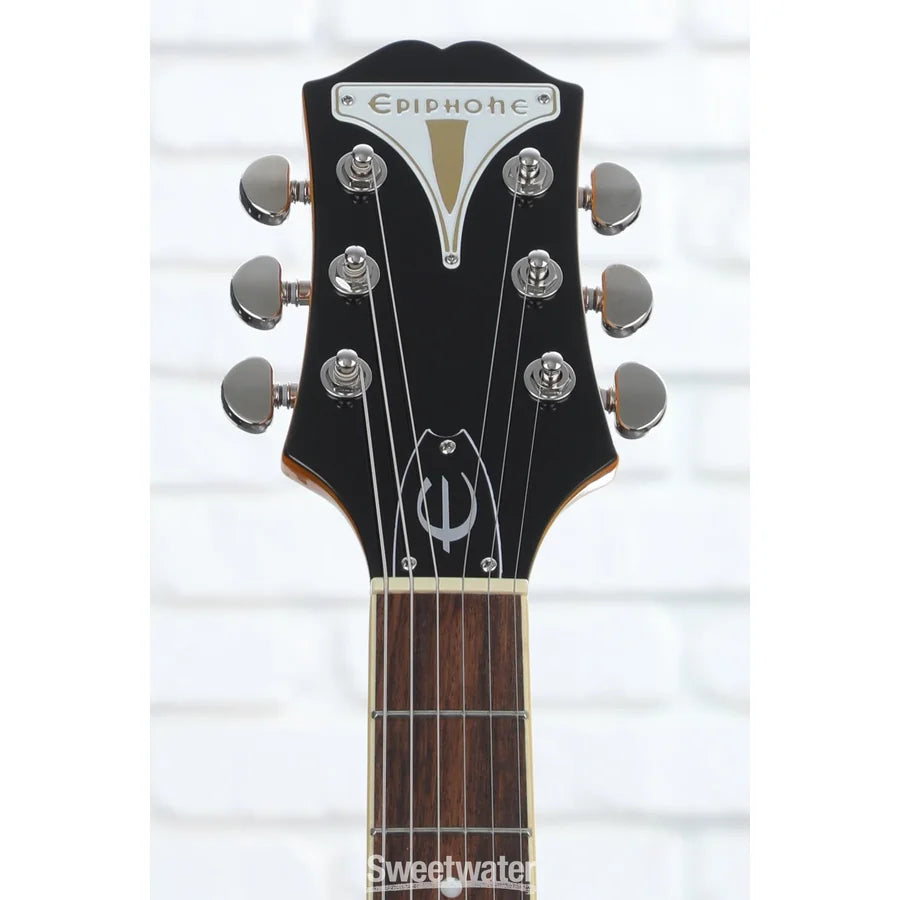 WildKat Limited Edition Hollow Body