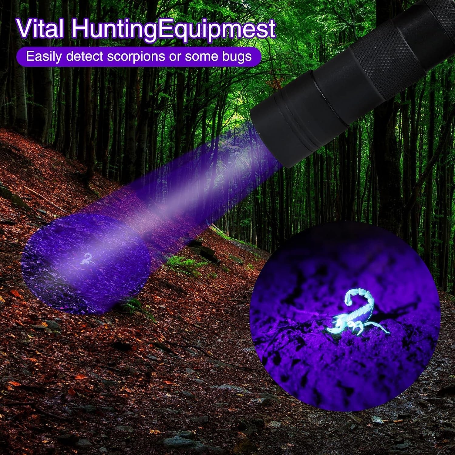 UV Flashlight - 12 LEDs - 2 Pack