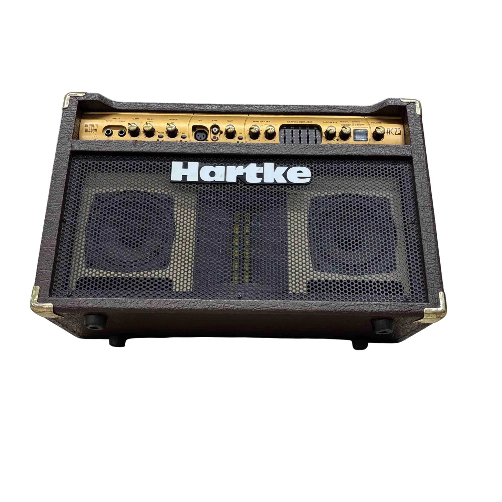 AC-75 Acoustic Amp