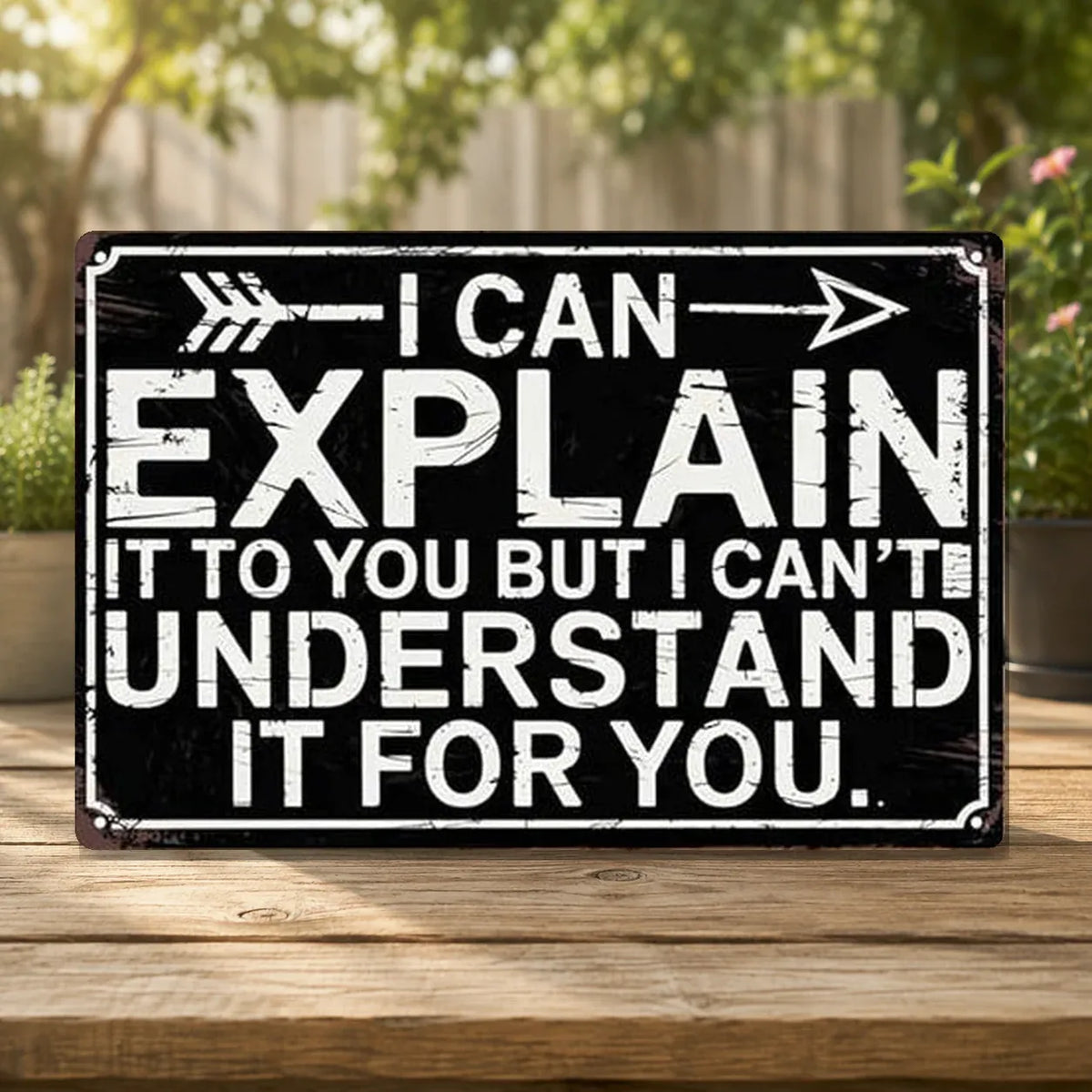I Can Explain It to You Tin Sign - (30 × 20 cm)