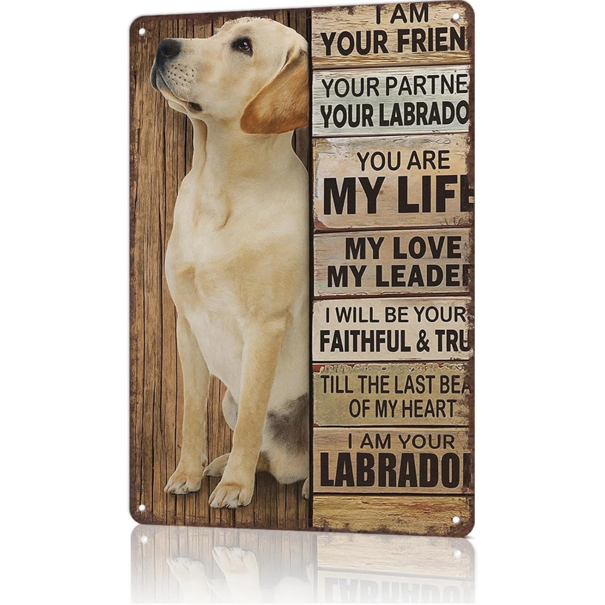 VOT Certified Labrador dog metal tin sign featuring a faithful friend wall decor design