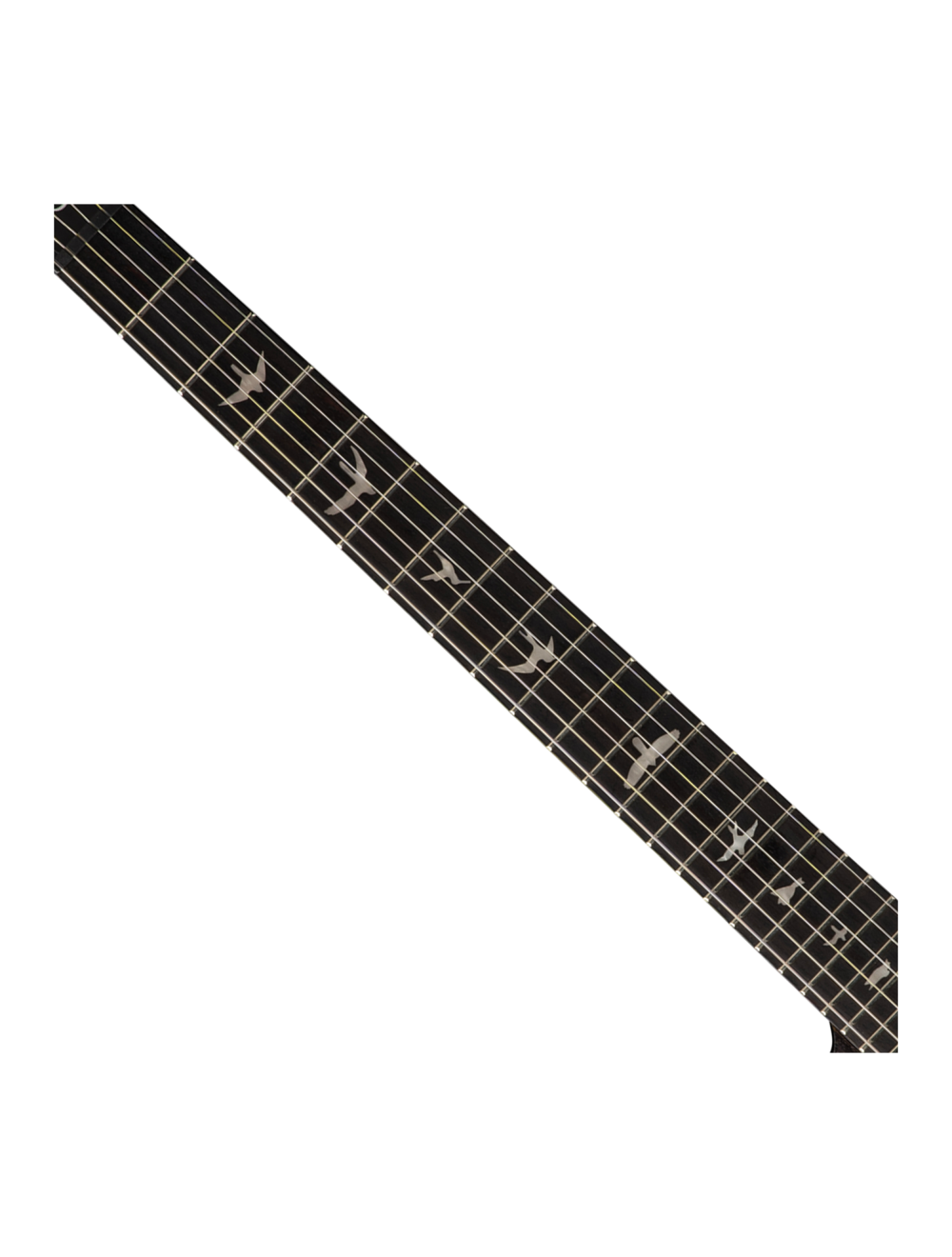 Standard SE CE 24 Charcoal