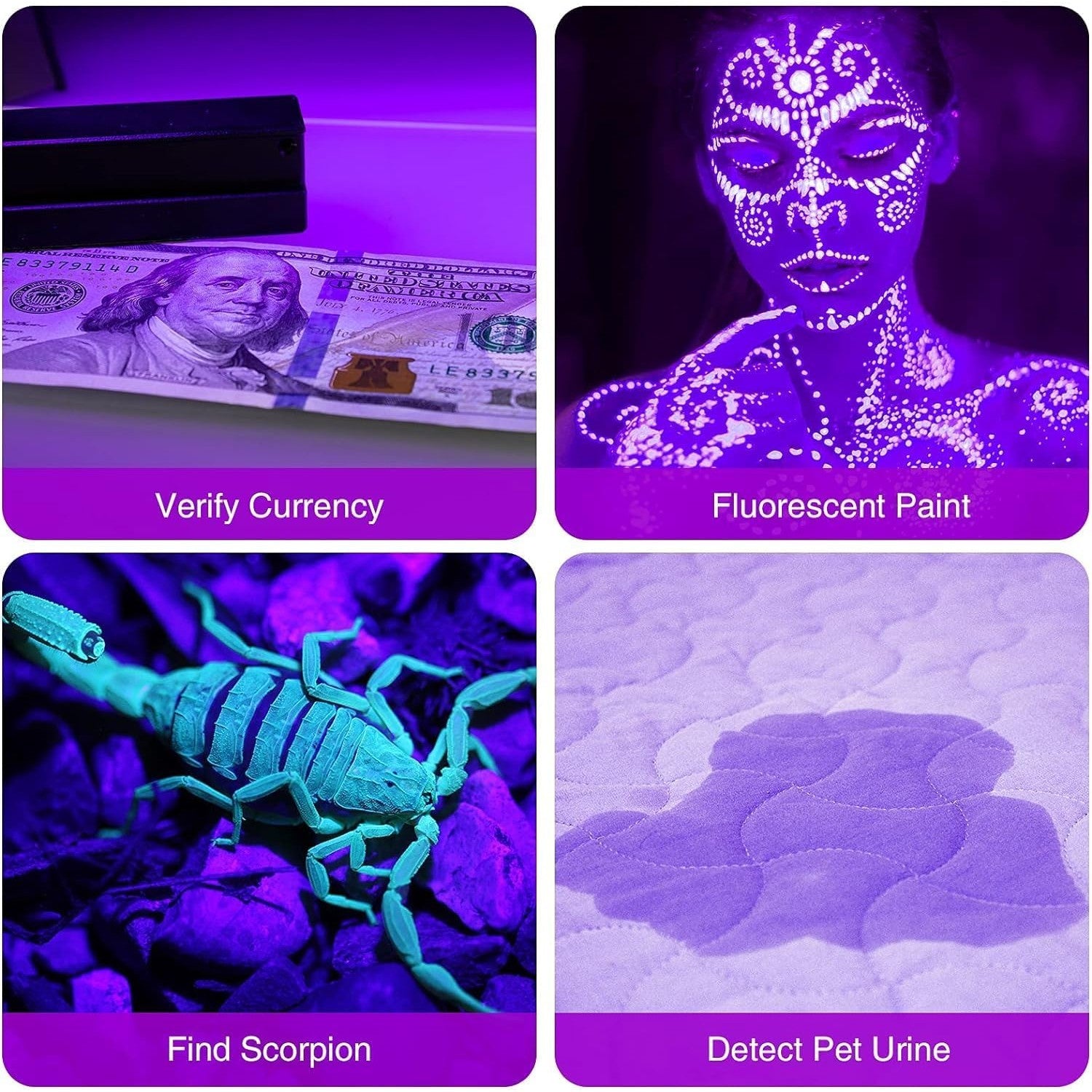 UV Flashlight - 12 LEDs - 2 Pack