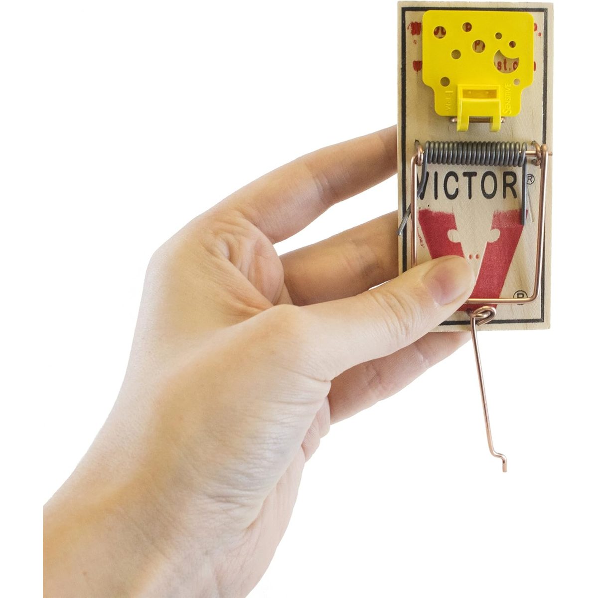 Mouse Traps - 2pcs