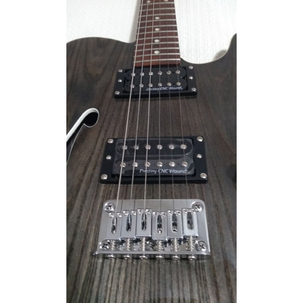 ITF-300 Semi Hollow telecaster Guitar