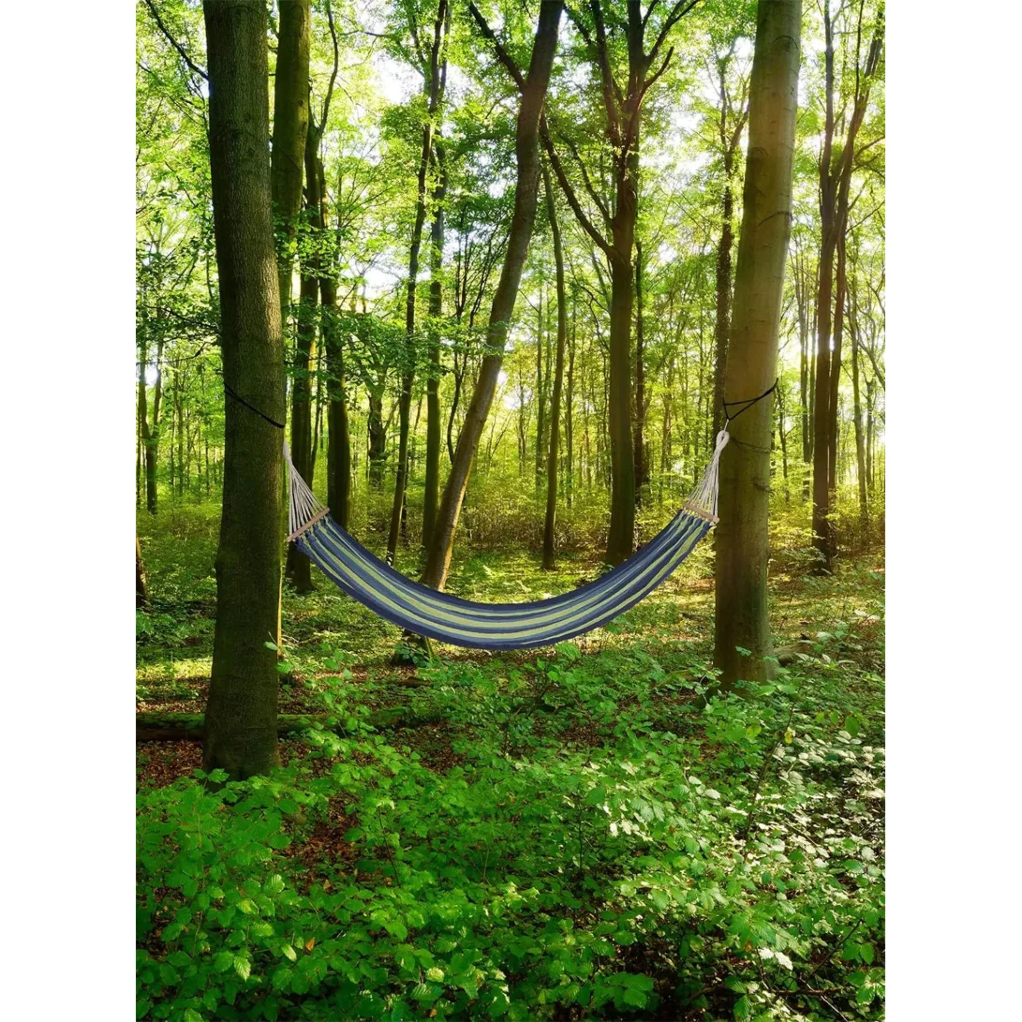 Hammock with Wooden Edges