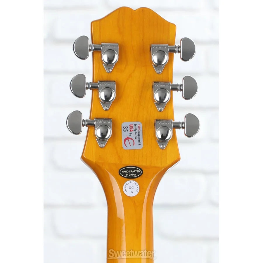 WildKat Limited Edition Hollow Body