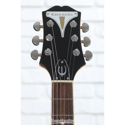 WildKat Limited Edition Hollow Body