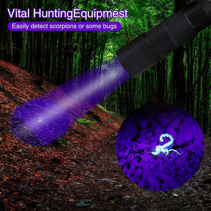 UV Flashlight - 12 LEDs - 2 Pack
