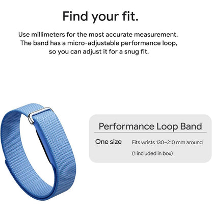 Fitbit Air