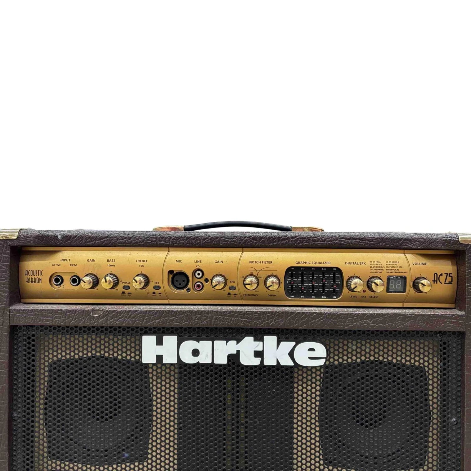 AC-75 Acoustic Amp