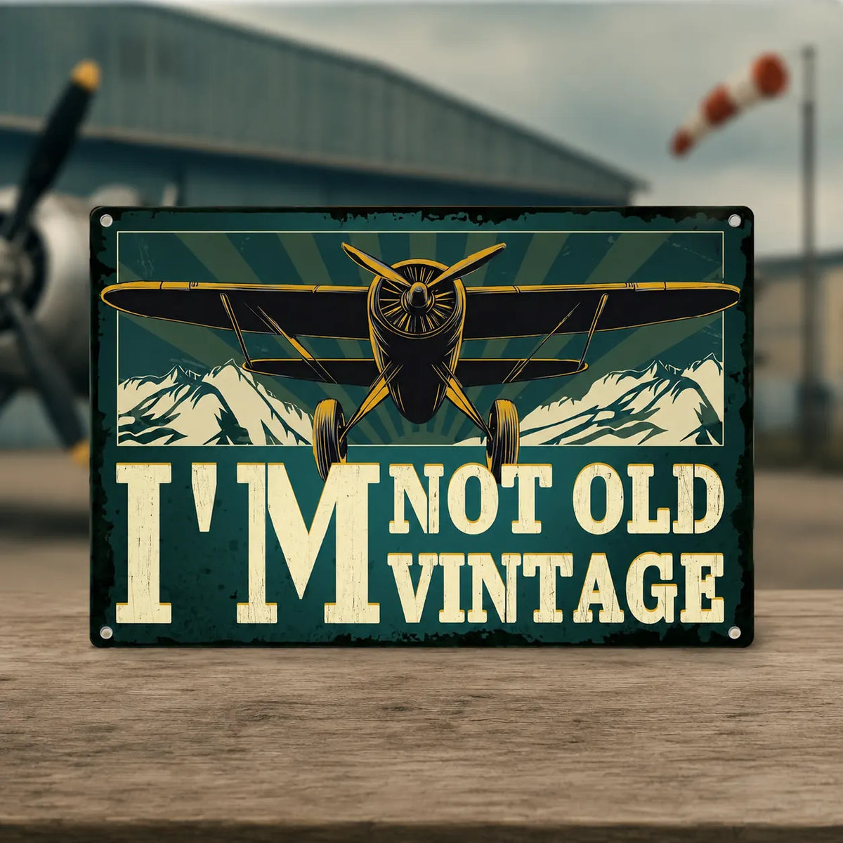 I'm Not Old, I'm Vintage Plane Tin Sign - (30 × 20 cm)
