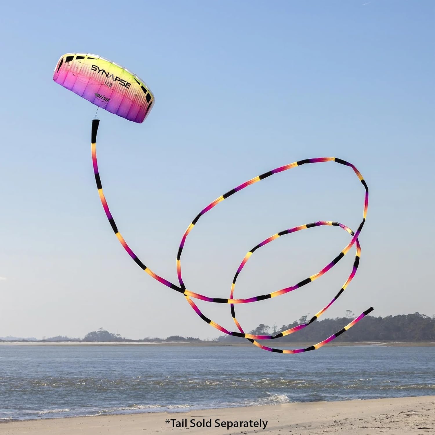 Synapse 140 Dual-line Parafoil Kite