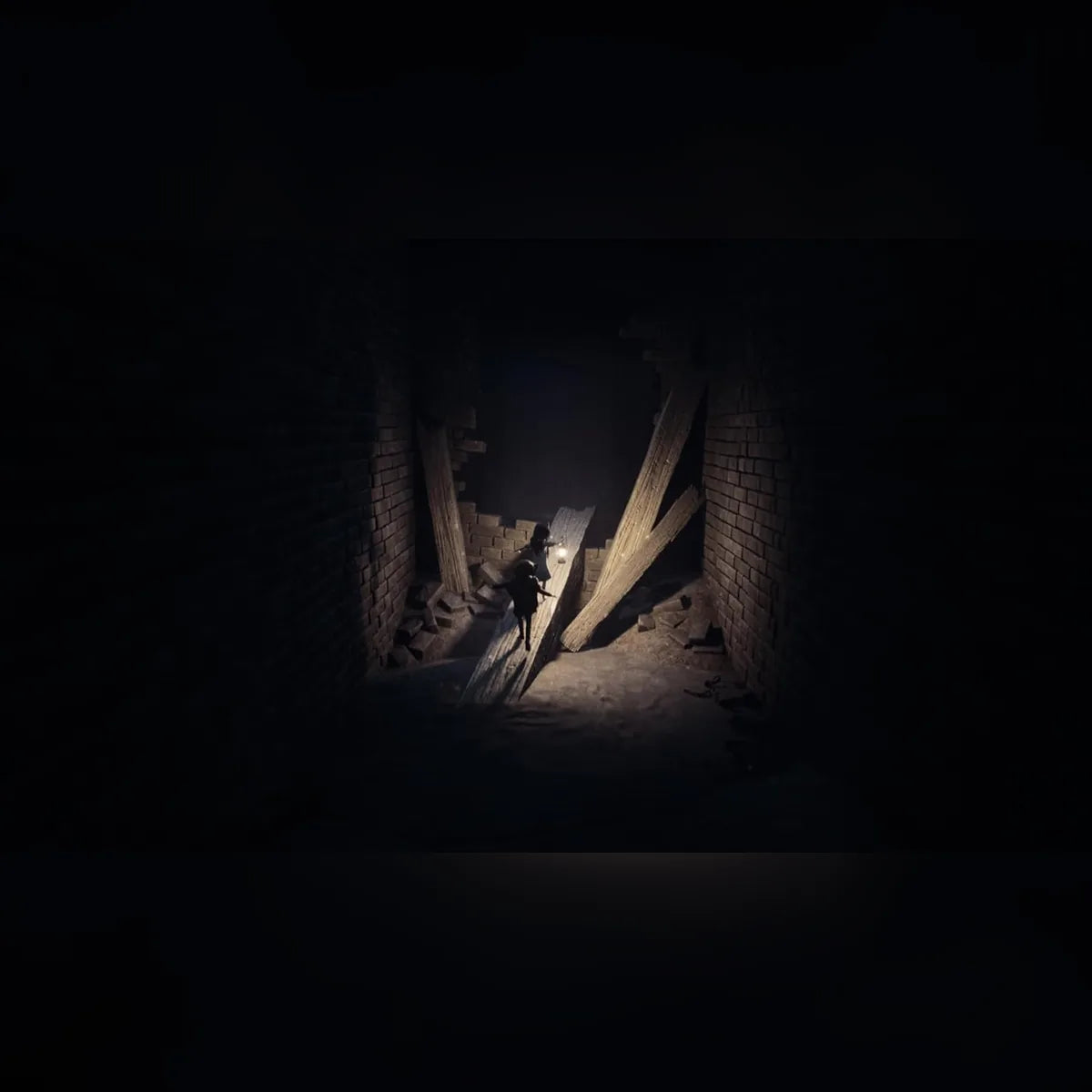 REANIMAL: Collector's Edition - PS5