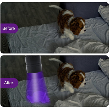 UV Flashlight - 12 LEDs - 2 Pack
