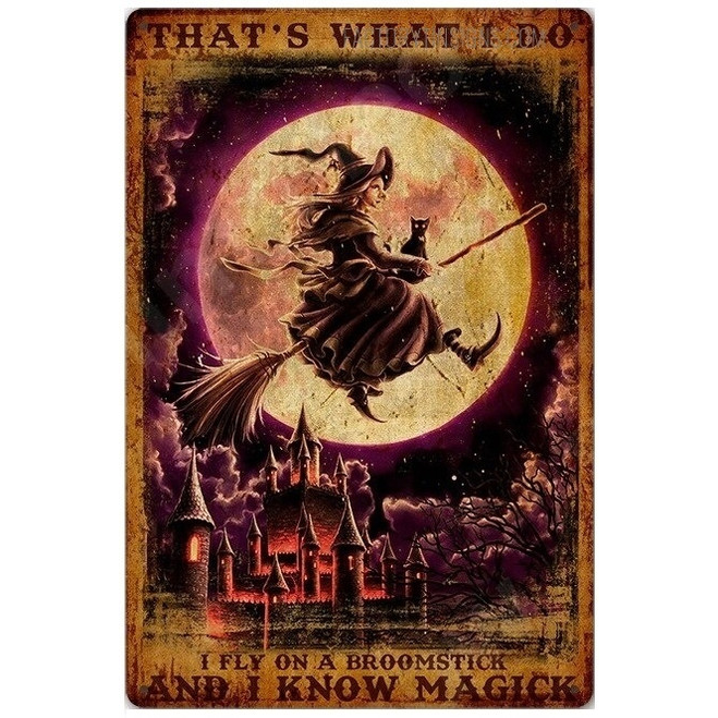 Fly On A Broomstick Tin Sign